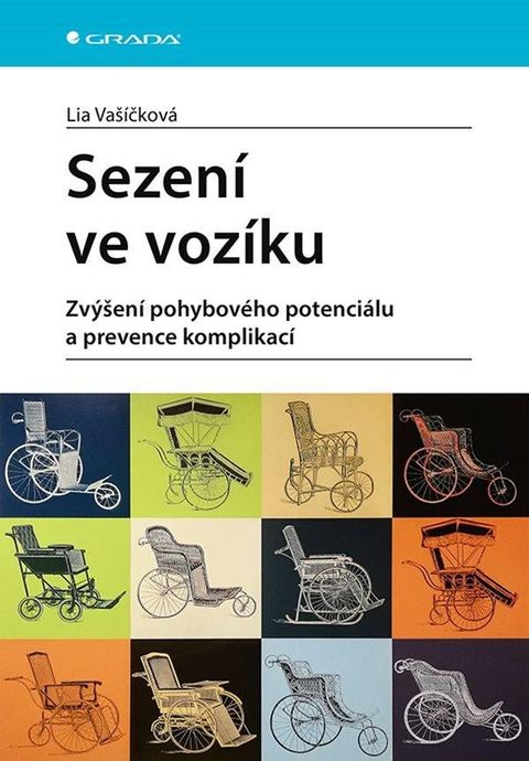 Obrázek produktu: Sezení ve vozíku - Zvýšení pohybového potenciálu a prevence komplikací