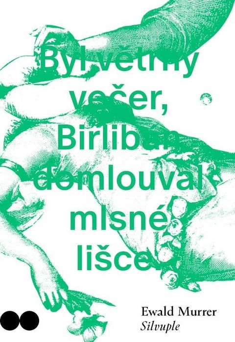 Obrázek produktu: Silvuple