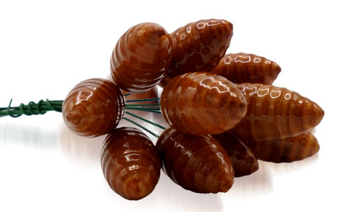 Obrázek produktu: Šiška lakovaná, na drátku - 24 mm - 10 ks