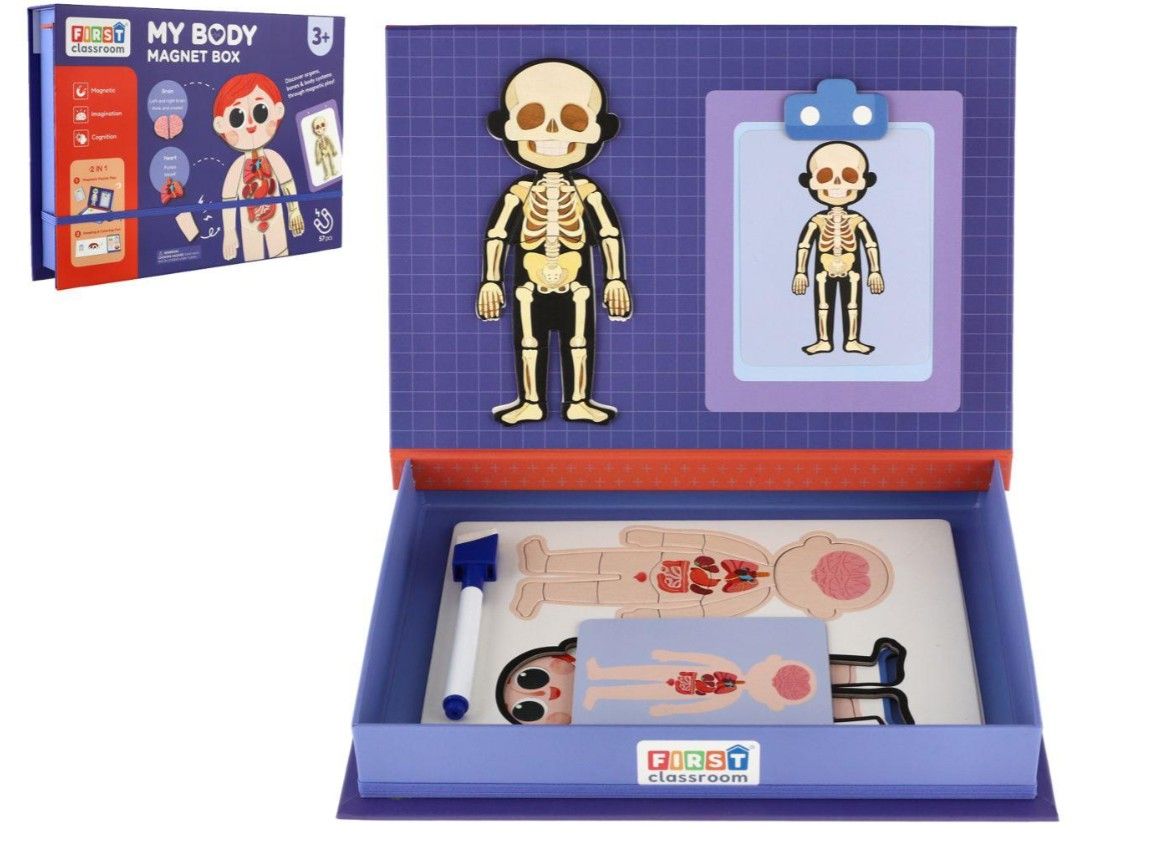 Skládačka magnetická tělo člověka v krabici