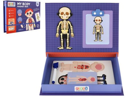 Obrázek produktu: Skládačka magnetická tělo člověka v krabici