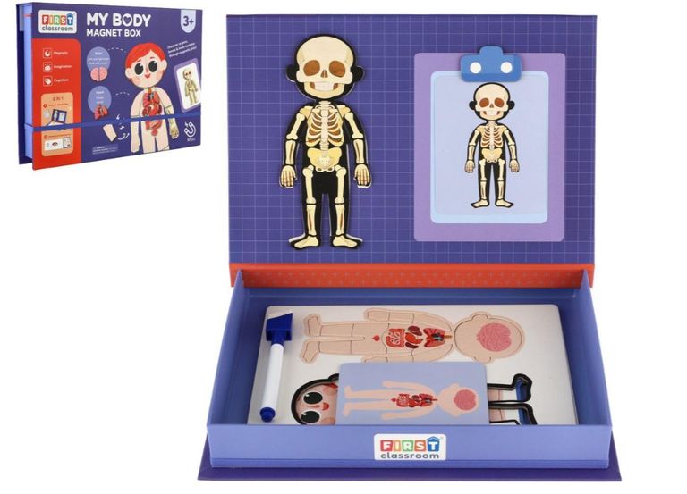 Magnetická skládačka lidského těla v krabičce