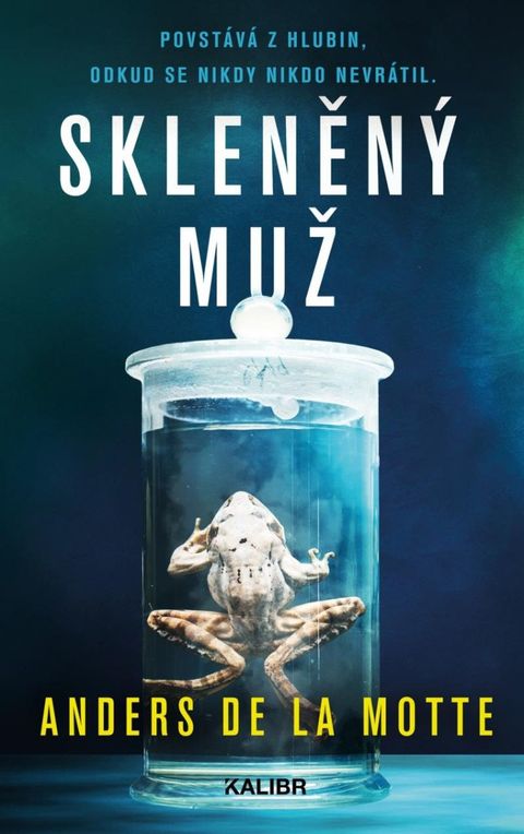 Obrázek produktu: Skleněný muž