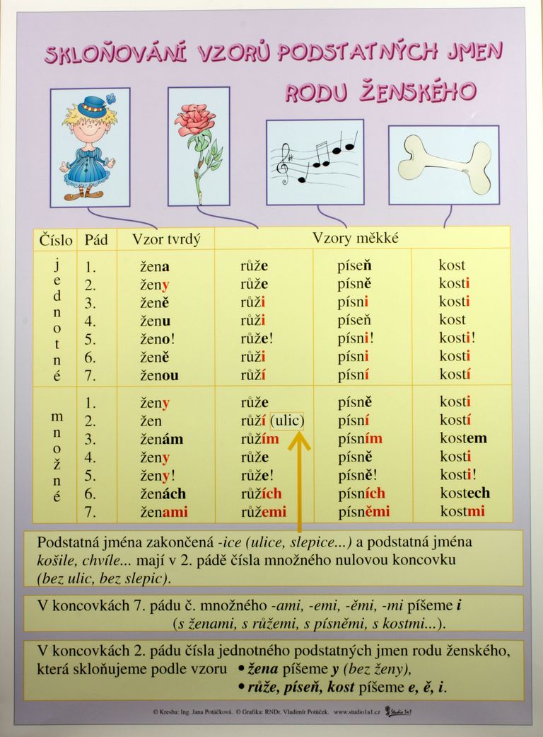 Skloňování vzorů podstatných jmen rodu ženského /70×100/