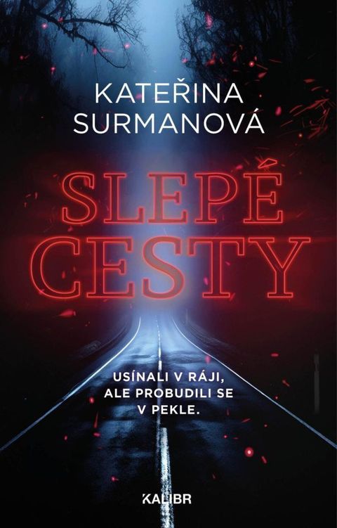 Obrázek produktu: Slepé cesty