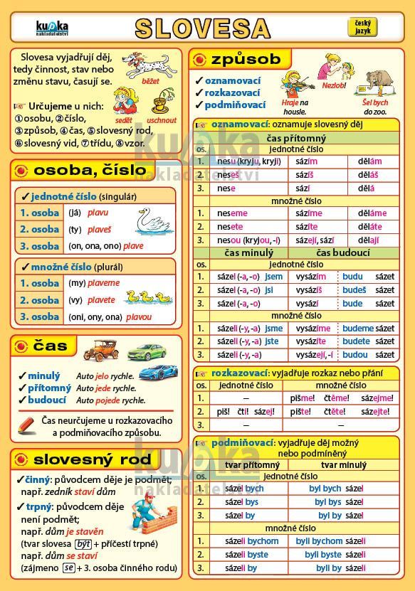Slovesa - oboustranná karta A5