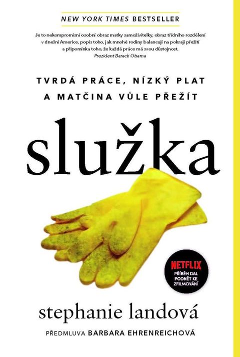 Obrázek produktu: Služka - Tvrdá práce, nízký plat a matčina vůle přežít