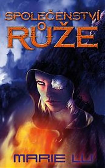 Obrázek produktu: Společenství růže