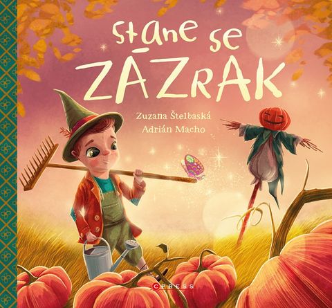 Obrázek produktu: Stane se zázrak