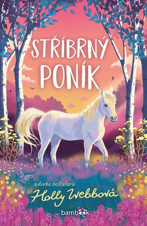 Obrázek produktu: Stříbrný poník