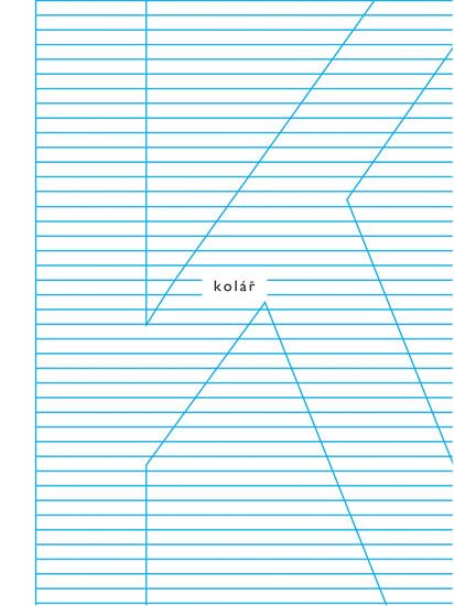 Obrázek produktu: Svědek - Skvosty poezie