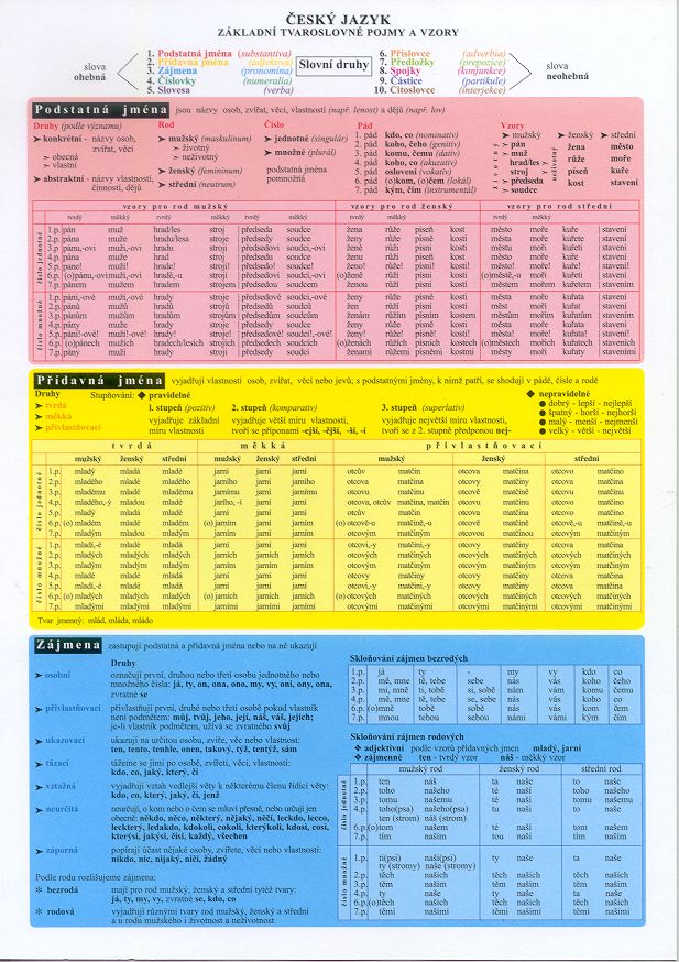 Tabulka ČJ - základní tvaroslovné pojmy a vzory
