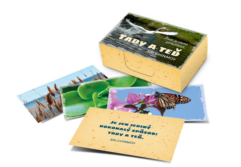 Tady a teď/Život je zlatá příležitost - karty