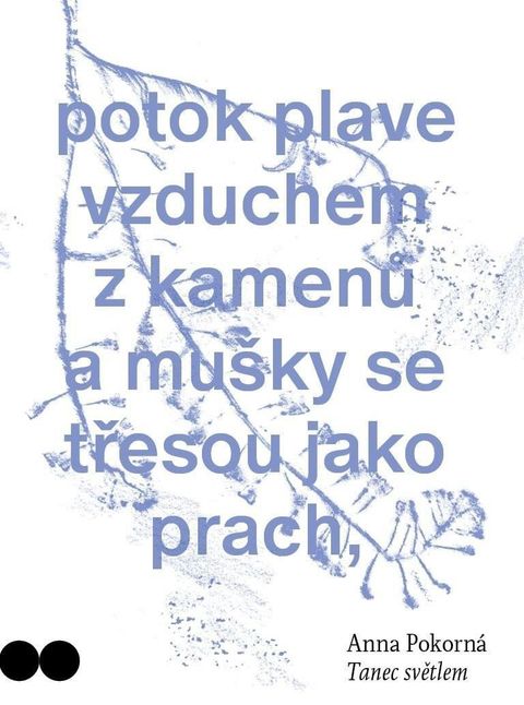 Obrázek produktu: Tanec světlem
