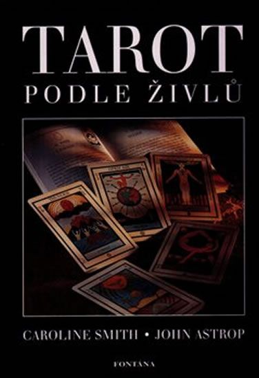 Levně Tarot podle živlů (kniha + 22 karet)