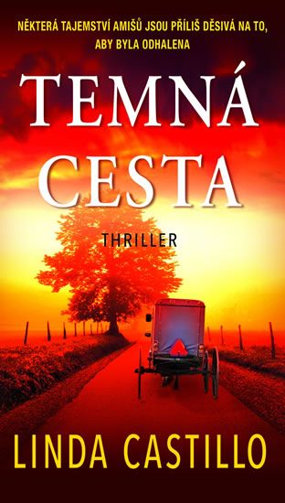 Obrázek produktu: Temná cesta