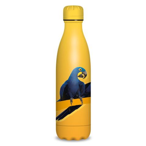 Obrázek produktu: Termoláhev 500 ml Ars Una Papoušek