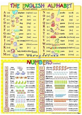 Obrázek produktu: The English Alphabet/ Numbers