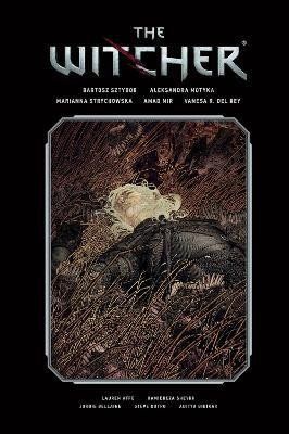 The Witcher Volume 2