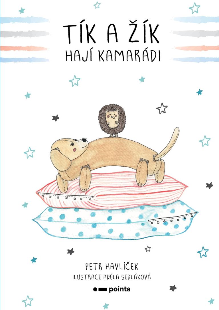 Tík a Žík, hají kamarádi Pointa