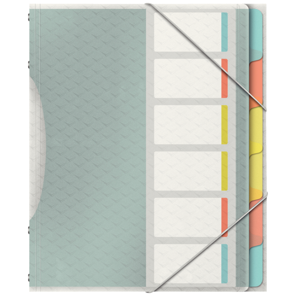 Třídící kniha Esselte Colour'Ice A4, 6 záložek