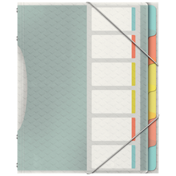 Obrázek produktu: Třídící kniha Esselte Colour'Ice A4, 6 záložek