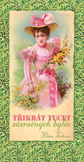Obrázek produktu: Třikrát tucet zázračných bylin