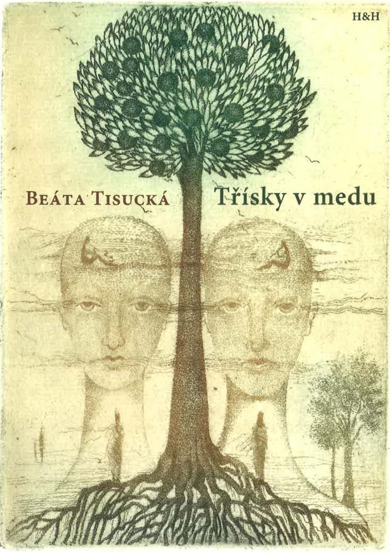 Třísky v medu - Beáta Tisucká