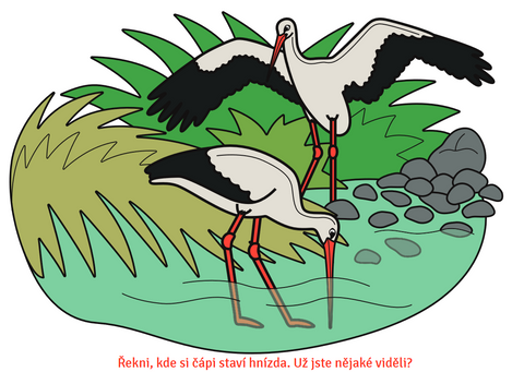 Obrázek produktu: U našeho rybníka - omalovánky