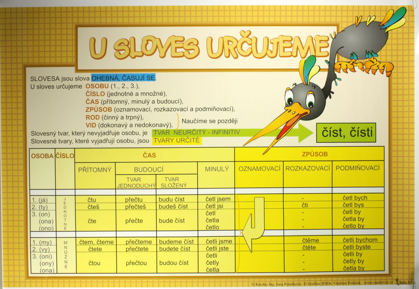 U sloves určujeme /100×70/