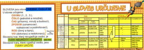 Obrázek produktu: U sloves určujeme