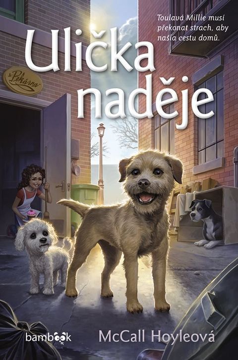 Obrázek produktu: Ulička naděje