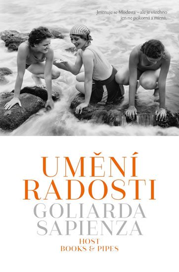 Obrázek produktu: Umění radosti