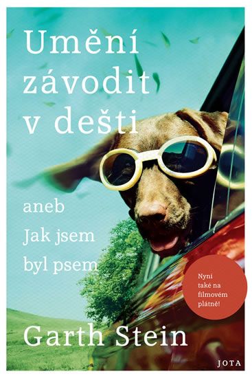 Obrázek produktu: Umění závodit v dešti aneb jak jsem byl psem