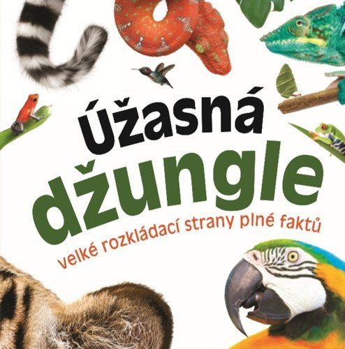 Levně Úžasná džungle - Velké rozkládací strany plné faktů