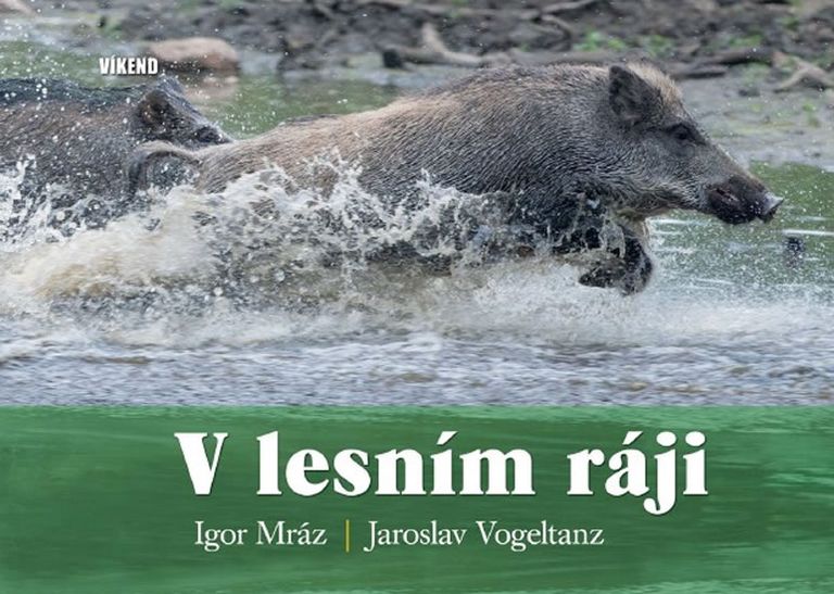 V lesním ráji - Jaroslav Vogeltanz, Igor Mráz