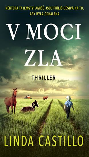 Obrázek produktu: V moci zla