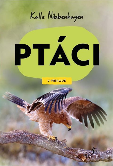Obrázek produktu: V přírodě: Ptáci