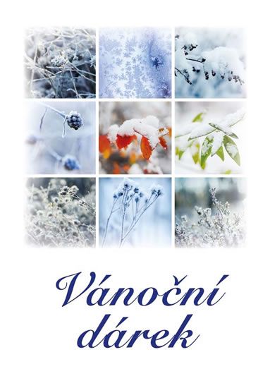 Obrázek produktu: Vánoční dárek - Soubor povídek