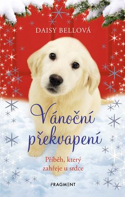 Obrázek produktu: Vánoční překvapení