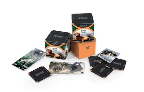 Obrázek produktu: Vědomostní pexeso - Svět psů