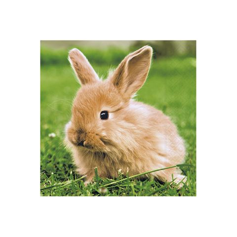 Obrázek produktu: Velikonoční ubrousky 25 × 25 cm, 20 ks - králíček v trávě