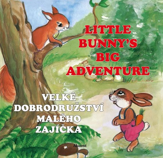 Levně Velké dobrodružství malého zajíčka / Little Bunny´s Big Adventure
