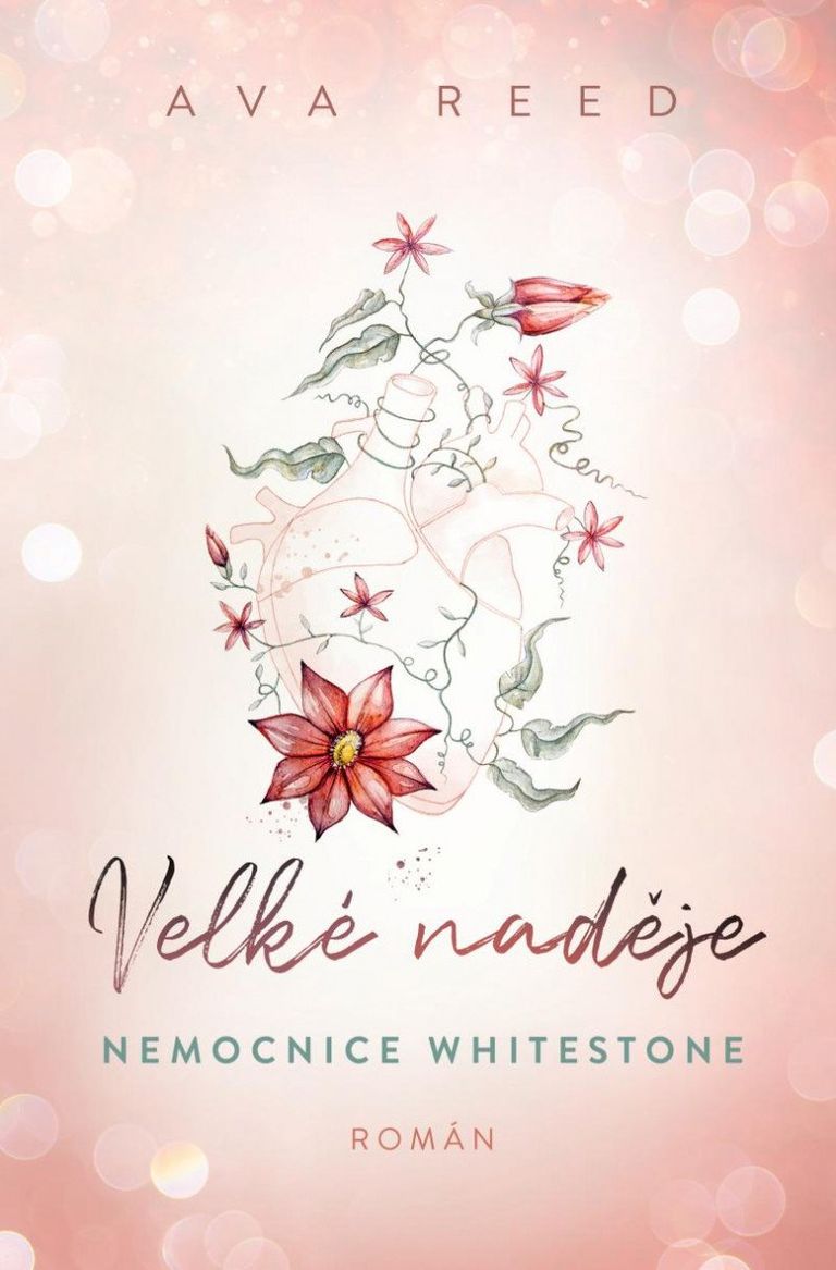 Levně Velké naděje - Nemocnice Whitestone 1