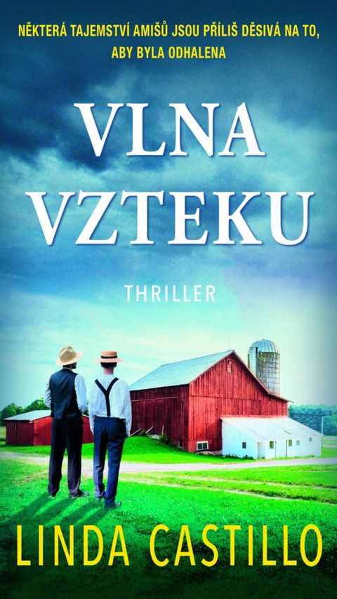 Obrázek produktu: Vlna vzteku