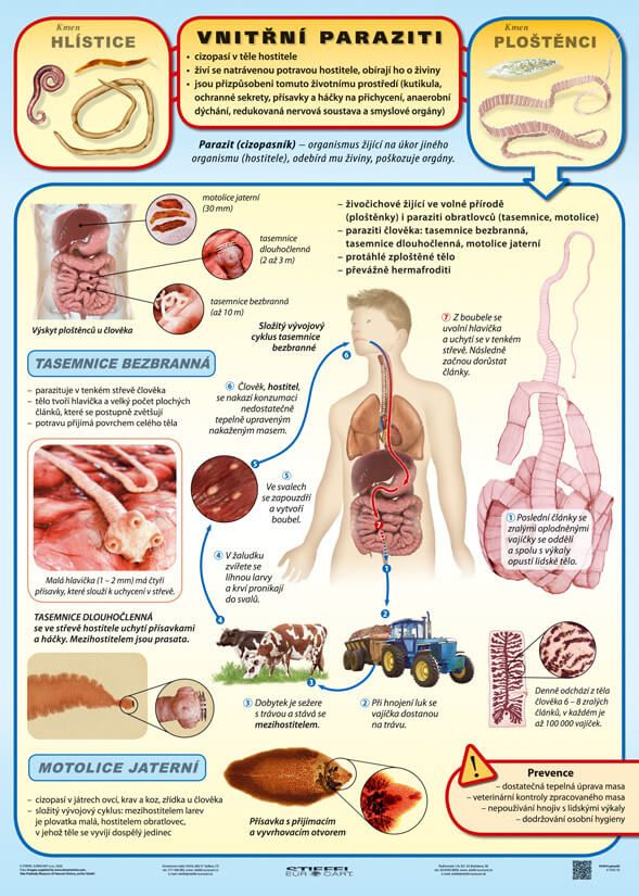 Vnitřní paraziti - tabulka A4