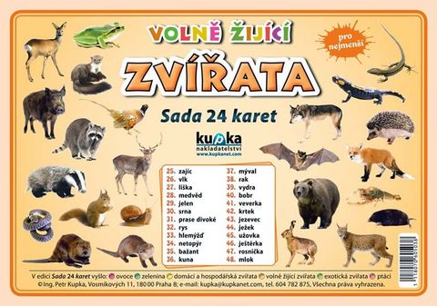 Obrázek produktu: Volně žijící zvířata - Sada 24 karet
