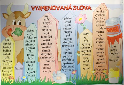 Obrázek produktu: Vyjmenovaná slova /100x70/
