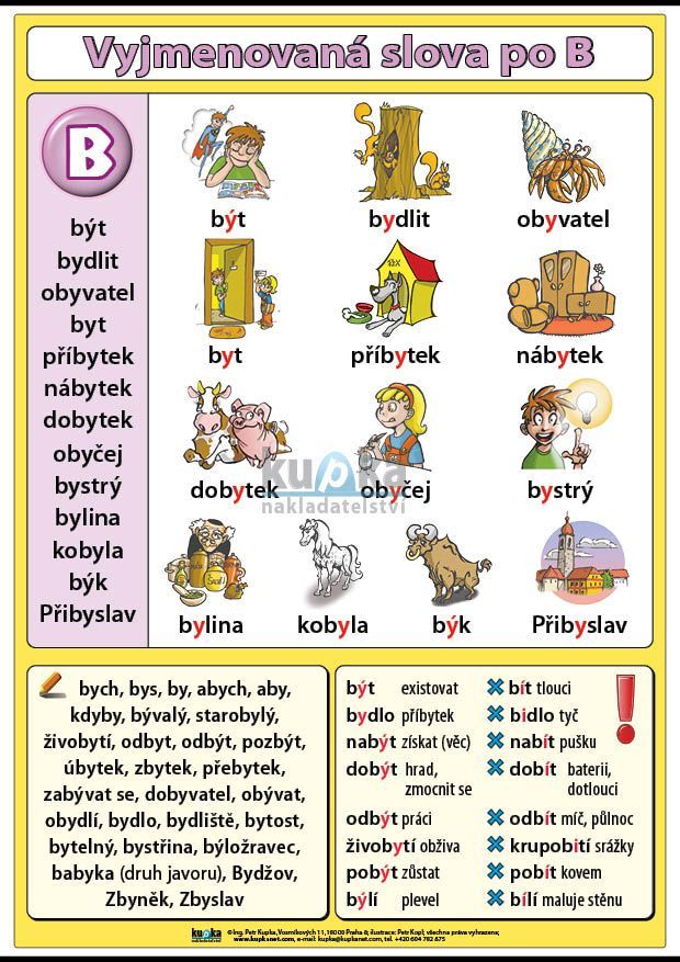 Vyjmenovaná slova po B A4 (30x21 cm)