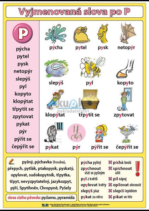 Obrázek produktu: Vyjmenovaná slova po P A4 (30x21 cm)